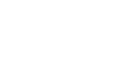 Meta Business Partner