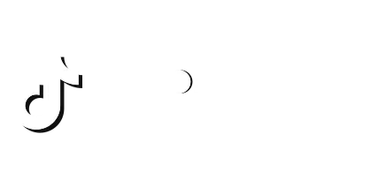 TikTok Agency Partner